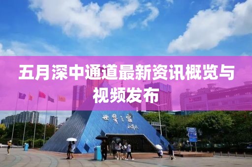 五月深中通道最新资讯概览与视频发布