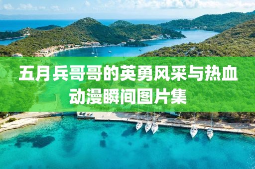 五月兵哥哥的英勇风采与热血动漫瞬间图片集