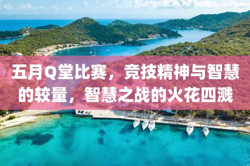 五月Q堂比赛，竞技精神与智慧的较量，智慧之战的火花四溅