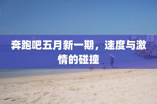 奔跑吧五月新一期，速度与激情的碰撞