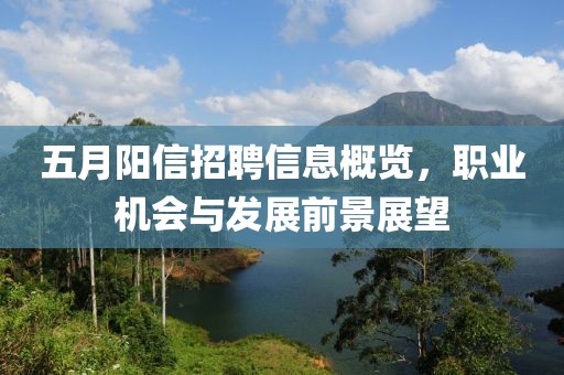 五月阳信招聘信息概览，职业机会与发展前景展望
