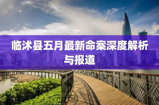 临沭县五月最新命案深度解析与报道
