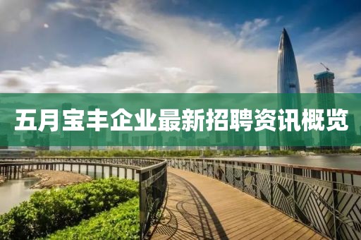 五月宝丰企业最新招聘资讯概览