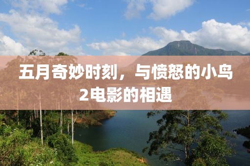 五月奇妙时刻，与愤怒的小鸟2电影的相遇