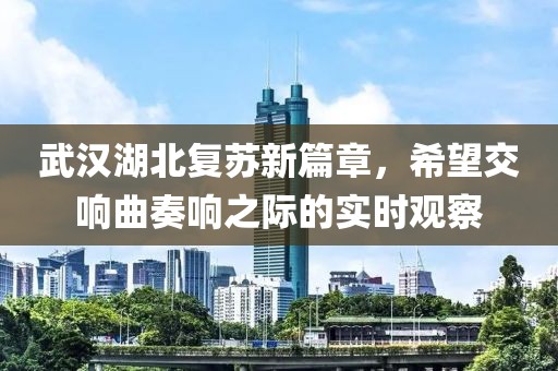 武汉湖北最新状况