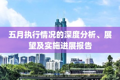 五月执行情况的深度分析、展望及实施进展报告
