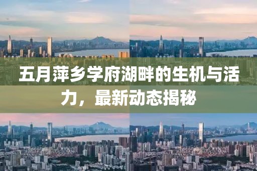 五月萍乡学府湖畔的生机与活力，最新动态揭秘