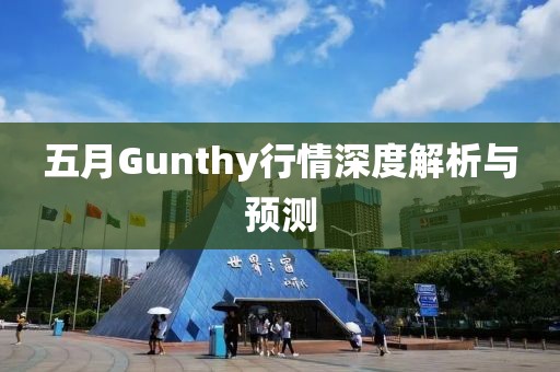 五月Gunthy行情深度解析与预测