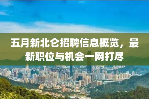 五月新北仑招聘信息概览，最新职位与机会一网打尽
