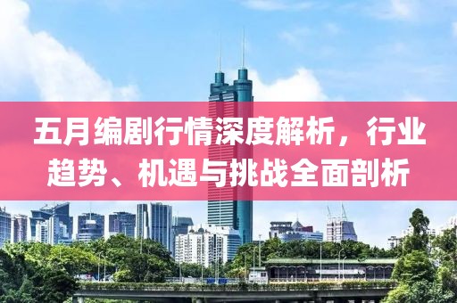 五月编剧行情深度解析，行业趋势、机遇与挑战全面剖析