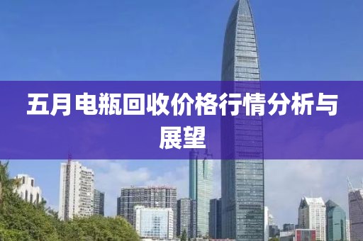 五月电瓶回收价格行情分析与展望