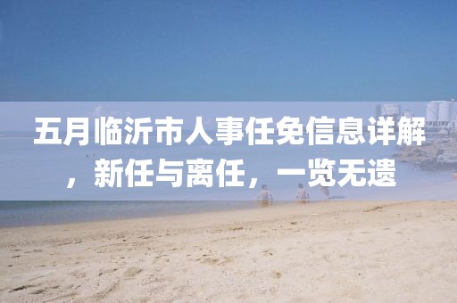五月临沂市人事任免信息详解，新任与离任，一览无遗