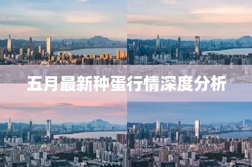 五月最新种蛋行情深度分析