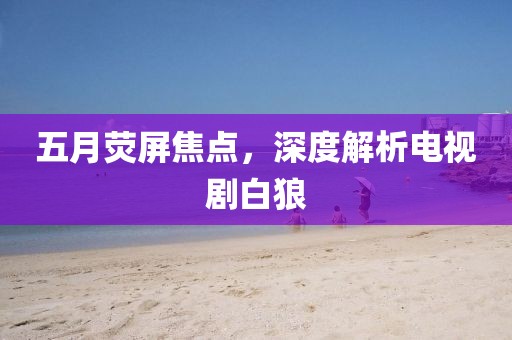 五月荧屏焦点，深度解析电视剧白狼