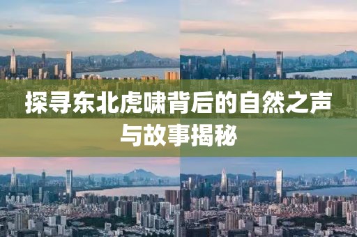 东北虎啸最新