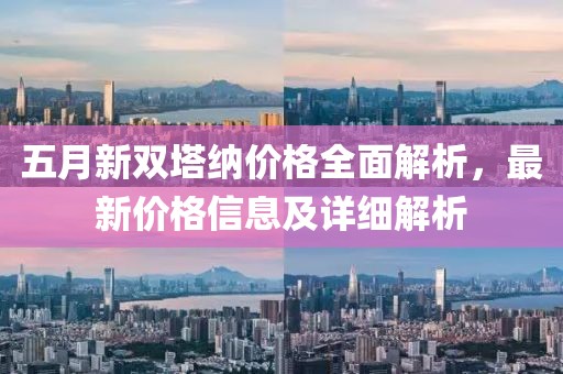 五月新双塔纳价格全面解析，最新价格信息及详细解析