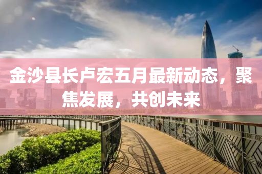金沙县长卢宏五月最新动态，聚焦发展，共创未来