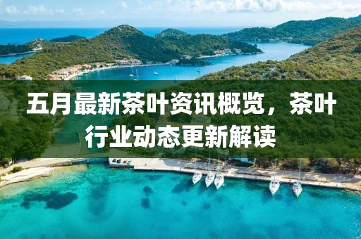 五月最新茶叶资讯概览，茶叶行业动态更新解读
