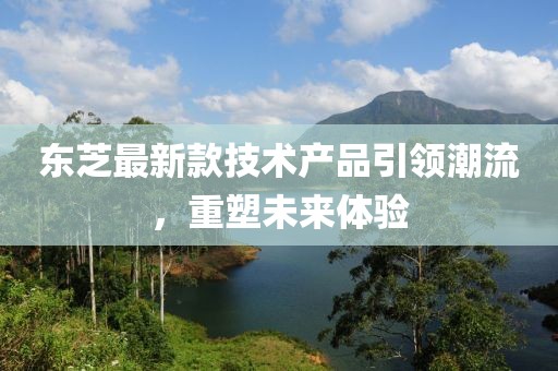 东芝最新款