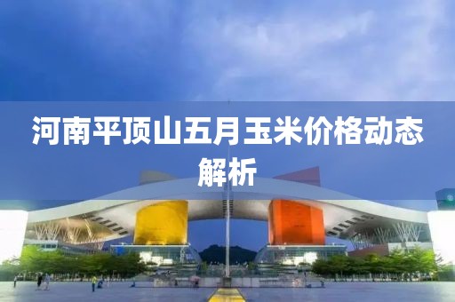 河南平顶山五月玉米价格动态解析