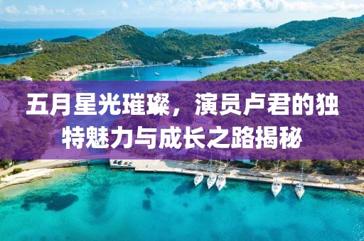 五月星光璀璨，演员卢君的独特魅力与成长之路揭秘