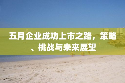 五月企业成功上市之路，策略、挑战与未来展望