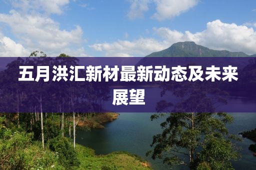 五月洪汇新材最新动态及未来展望