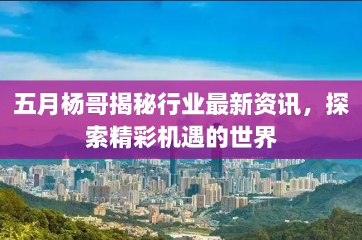 五月杨哥揭秘行业最新资讯，探索精彩机遇的世界