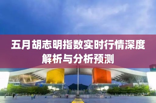 五月胡志明指数实时行情深度解析与分析预测