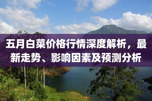 五月白菜价格行情深度解析，最新走势、影响因素及预测分析