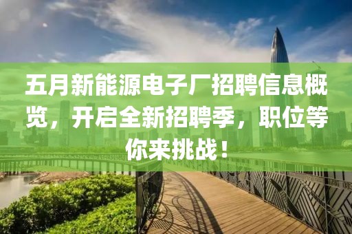 五月新能源电子厂招聘信息概览，开启全新招聘季，职位等你来挑战！