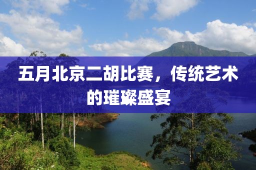 五月北京二胡比赛，传统艺术的璀璨盛宴