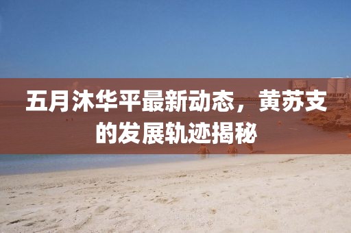 五月沐华平最新动态，黄苏支的发展轨迹揭秘