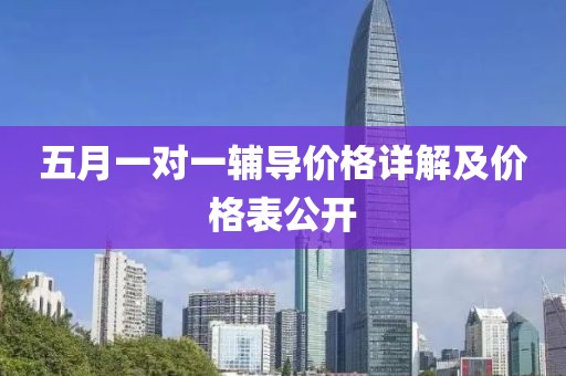 五月一对一辅导价格详解及价格表公开