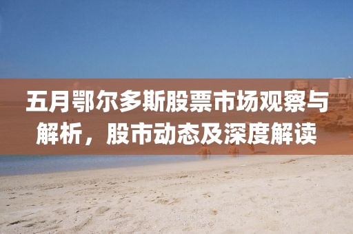 五月鄂尔多斯股票市场观察与解析，股市动态及深度解读