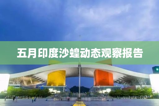 五月印度沙蝗动态观察报告