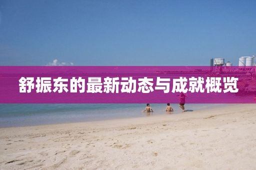 舒振东最新