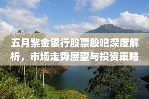 五月紫金银行股票股吧深度解析，市场走势展望与投资策略
