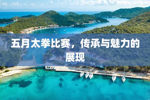 五月太拳比赛，传承与魅力的展现