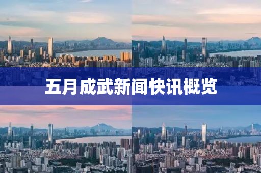 五月成武新闻快讯概览