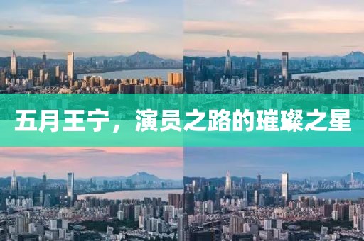 五月王宁，演员之路的璀璨之星