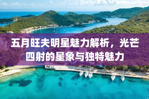 五月旺夫明星魅力解析，光芒四射的星象与独特魅力