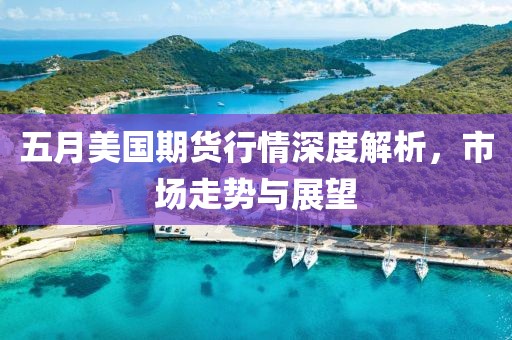 五月美国期货行情深度解析，市场走势与展望