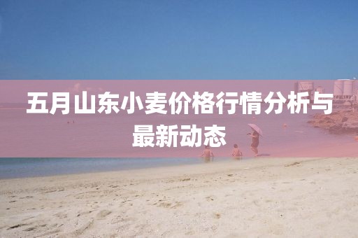 五月山东小麦价格行情分析与最新动态