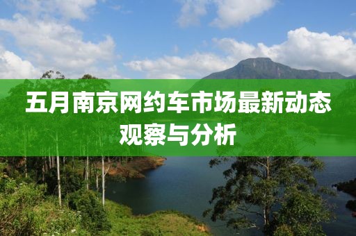 五月南京网约车市场最新动态观察与分析
