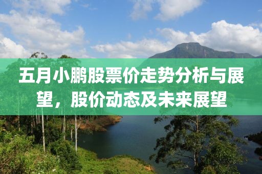 五月小鹏股票价走势分析与展望，股价动态及未来展望
