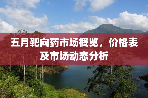 五月靶向药市场概览，价格表及市场动态分析
