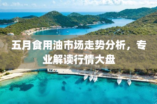 五月食用油市场走势分析，专业解读行情大盘