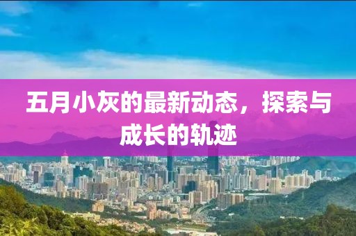 五月小灰的最新动态，探索与成长的轨迹