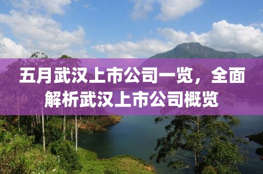 五月武汉上市公司一览，全面解析武汉上市公司概览
